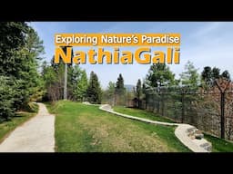 The Best Place of Nathia Gali | Lalazar Wildlife Park