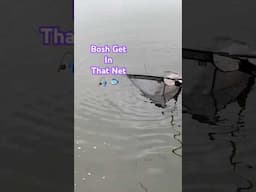 MONSTER CARP BATTLE