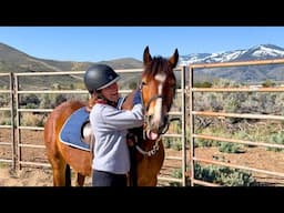 Ruach's First Ride In The BIG Arena! How Will He Do?!