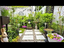 FULL VIDEO | TINY BACKYARD GARDEN TOUR | PLANTS and FLOWERS #garden #gardentour #plants #flowers