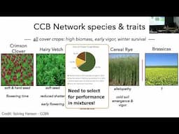 Marnin Wolfe: How can we breed better intercrops? Early efforts with cover crops and other mixtures