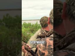 There's Birds Everywhere! - Duck Hunt in Texas