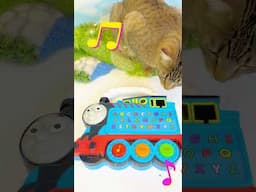Thomas The Train ABC’s Song