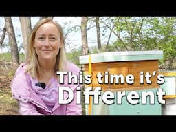 Starting Beekeeping, the Third Time Around