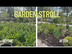 So much growth in the garden!