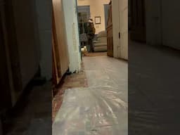 Wrinkle Duck Running