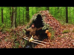 Building A Natural Survival Shelter Over A Stream With My Dog | Raised Fire Pit | Pine Branch Bed