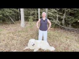 Yoga for Knitters - A Practice to Balance & Heal                   #yoga #yogateacher #knittinglife