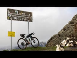 Exploring Georgia by Bicycle