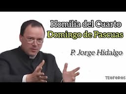 Homilía del Cuarto Domingo de Pascuas - P. Jorge Hidalgo