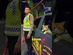 Cat's First Day at Work #shorts #cat #funny