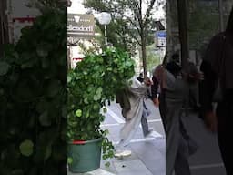 Hilarious Bushman Prank!! #shorts #pranks #girls