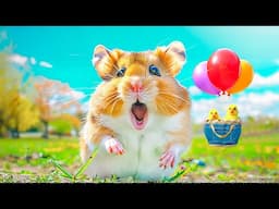 Ultimate Hamster Escape the Rainbow Bubble Maze  | Hamster Maze
