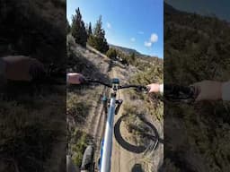 Whoops On Whoops #hardtail #mountainbike