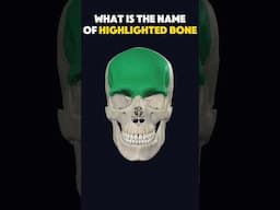 Skull anatomy challenge: Guess the bone| Human skull quiz #humanbody