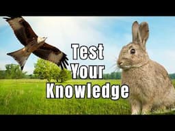 The Regular Wildlife Quiz - Can You Answer These Nature Questions Correctly?