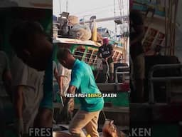 The Negombo FIsh Market