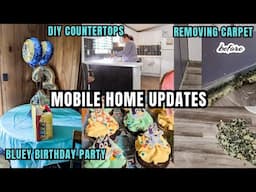 MOBILE HOME UPDATES BLUEY BIRTHDAY PARTY SINGLE WIDE LIVING