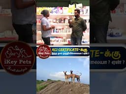 KCI Certificate-க்கு இந்த நாய்🐕 தகுதியில்லையா? ஏன்? Kombai Dog Facts #shorts #ikeypets #dogbreed