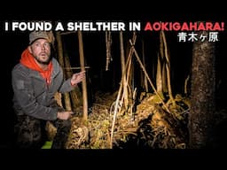 (WARNING) I Found a Makeshift Shelter in Japan's HAUNTED FOREST (Aokigahara 青木ヶ原)