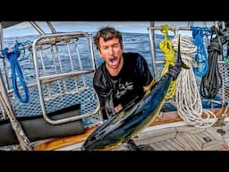 LIFE AT SEA Sailing the SOUTHERN coast of AFRICA! Ep 402