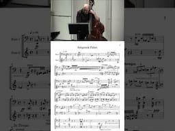 Schgweik Fahrt from Dave Anderson's #doublebass duets!