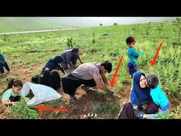 🪓 Simple Work, Real Effort 💚 | Balqis Cuts Grass to Make a Living