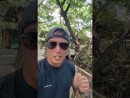 🇻🇳 Quay xe #youtubeshorts #trendingshorts #shorts #shortvideo #short #shortsviral #travel #vietnam