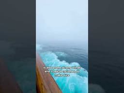 Things we wish we knew before our Australia and New Zealand cruise #cruise #shorts