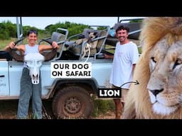 WE NEARLY GOT EATEN BY LIONS!! Ep 405