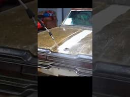 First Wash in 30+ YEARS on Abandoned Thunderbird 🚘💕 #BarnFind #Detailing #Satisfying #DetailDane