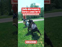Bully Disrespects Corso & Pays For It #canecorso #dog #shorts #crime