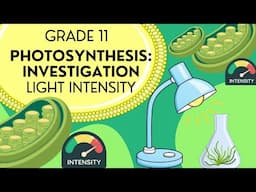 EASY to understand: Photosynthesis investigation - Light intensity