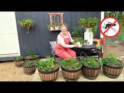 Top Mosquito-Repelling Flowers to Plant This Spring 🌼 | Alaska Homestead Gardening Tips