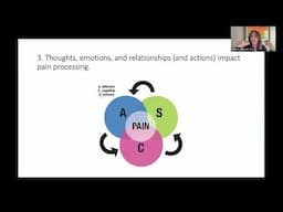 Chronic Pain Reset  Dr  Hassett
