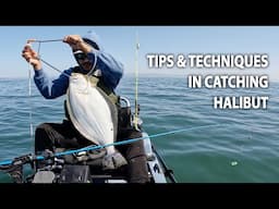 My Underwater Camera Taught Me about Halibut Strikes