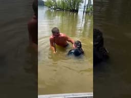 Noodling a 40 pound blue cat!