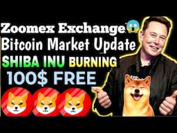Shiba Inu news | Zoomex Exchange |🔥 Unveiling the Secrets of 2025 🔥 Boost Your Crypto Trading 🚀