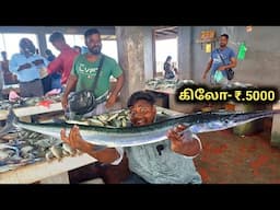 யாழ்பாணம் மீன் சந்தை பாத்து இருக்கீங்களா|Jaffna's busiest Fish Market|Srilanka Fish Market|VFS|Suppu
