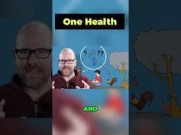 One Health: How Animal, Human & Environmental Health Connect