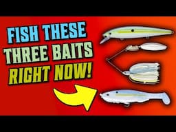 Top 3 Baits For Post-Spawn Bass Fishing - Swimbaits, Spinnerbaits & Jerkbaits