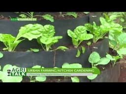 KTN Farmers TV Live stream