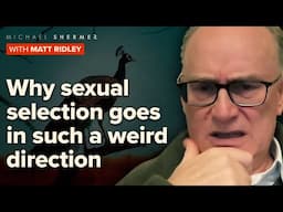 Sex and Beauty: The Extraordinary Implications of Darwin’s Strangest Idea (Matt Ridley)