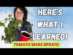 Update on Solo Cups vs Seedling Snails! 🍅 Here's What I Learned