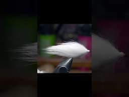 Rabbit Fur Leech or Baitfish