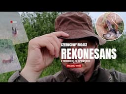 Rekonesans i czerwcowy rogacz
