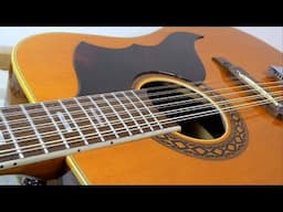 Eko 12 String