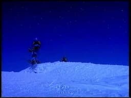 Birds Eye Cod Fish Fingers - Skiing 1996 UK TV Advert