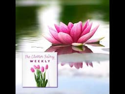 Positive Psychology for Clearing Clutter from Your Home and Head - The Clutter Fairy Weekly #254