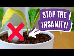 Stop Doing This! Terrible Watering Advice That Kills Plants